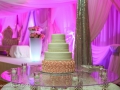 15.10.25-Sheetal-Malik-party-052