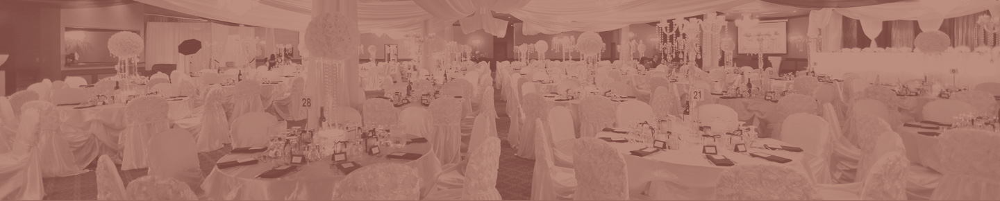 Wedding Venues and Receptions